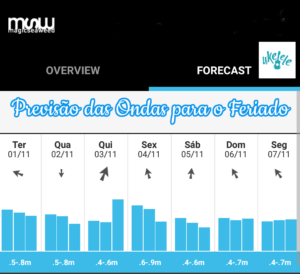 previsao-ondas-feriado-surf-ukelele-011116