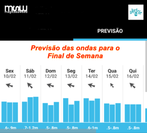 previsao-ondas-surf-ukelele-swell-litoral-paulista-100217