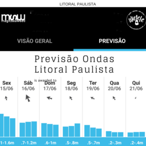 Previsão Ondas Litoral Paulista - VEJA AQUI!