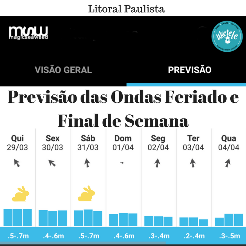 Previsão-Onda-Litoral-São-Paulo-Final-Semana